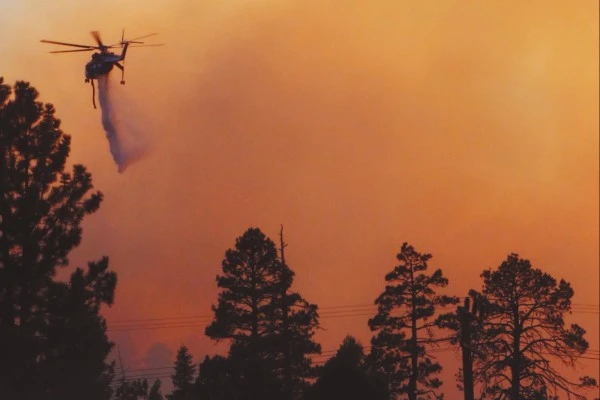 Orman Yangınlarını Önleme Çalışmalarına Üniversitelerden Destek